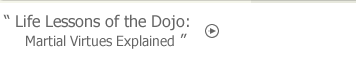 Life Lessons of the Dojo book